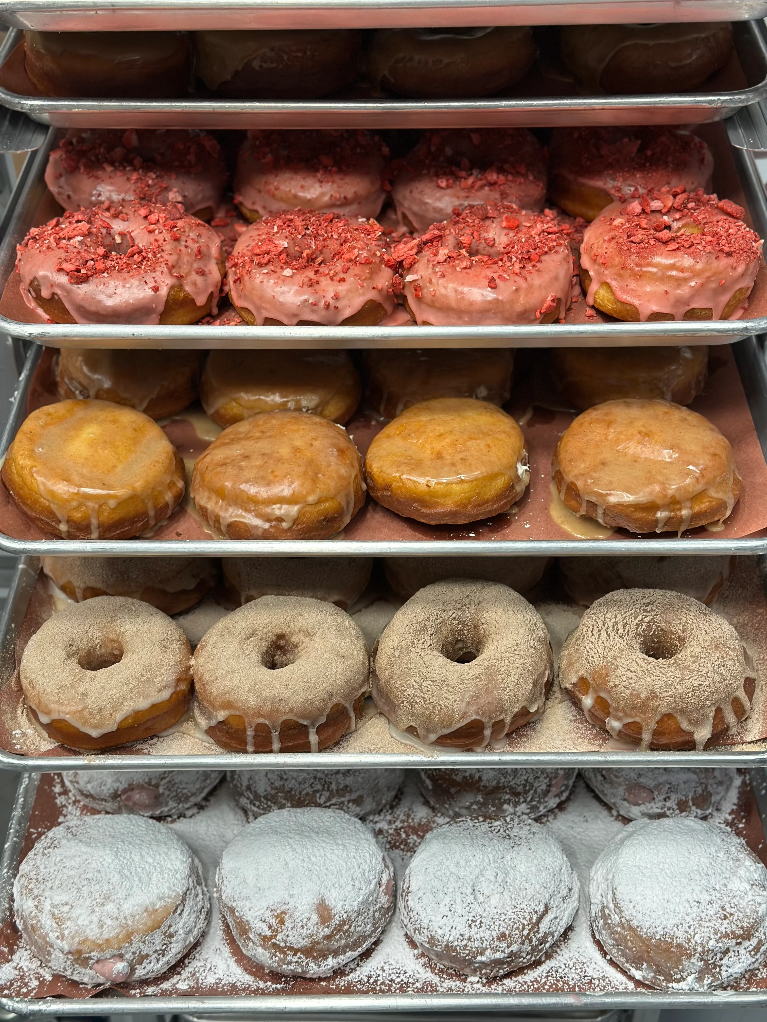 Fresh donuts on bakery racks at Spudly Donuts