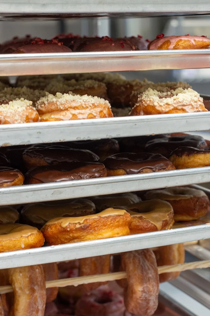 Fresh donuts on trays at Spudly Donuts